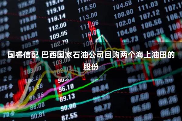 国睿信配 巴西国家石油公司回购两个海上油田的股份